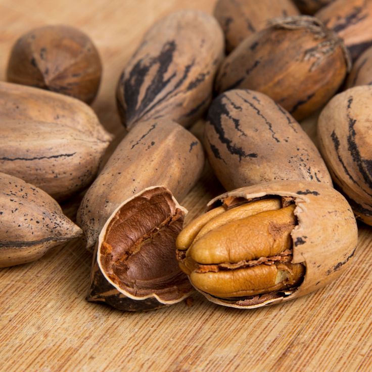 NOCI PECAN MAGLIANO ROMANO