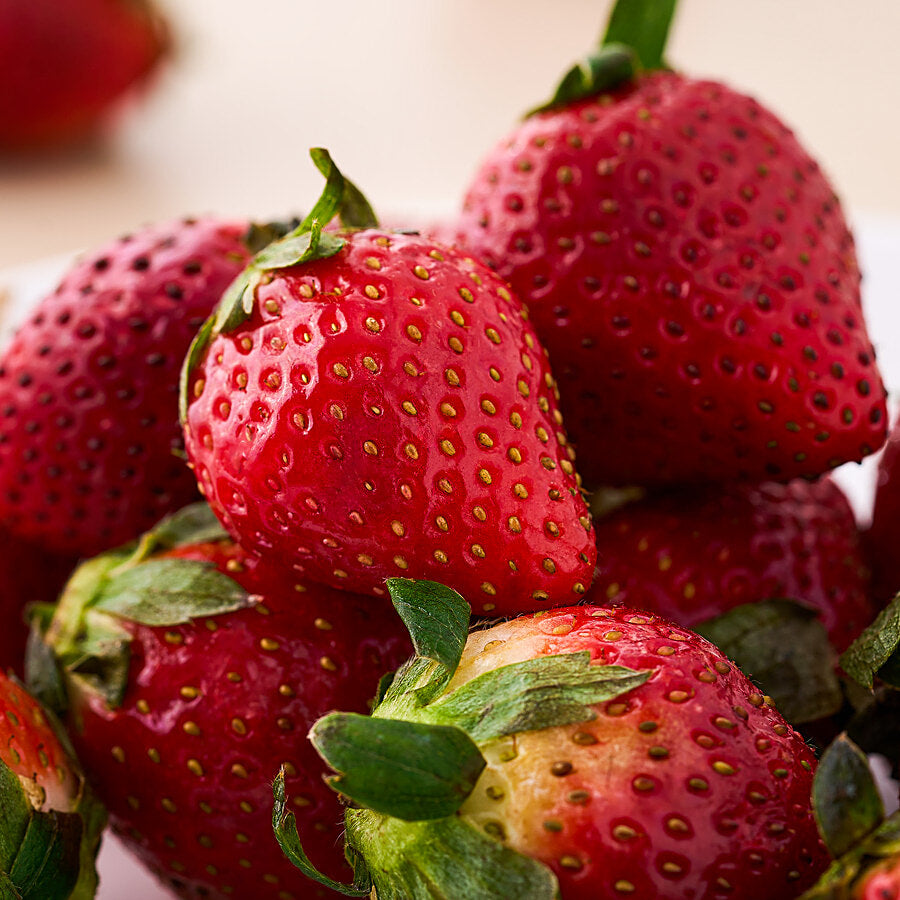 FRAGOLE DI POLICORO NN TRATTATE