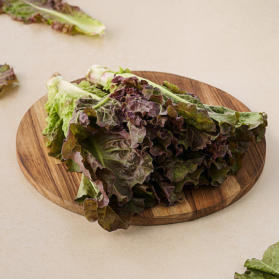 INSALATA CANASTA BIO