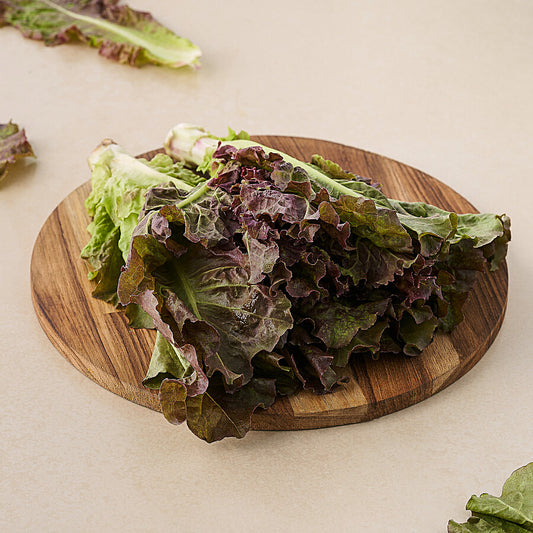INSALATA CANASTA BIO