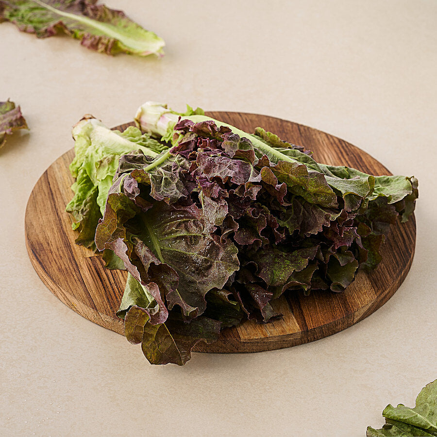 INSALATA CANASTA BIO