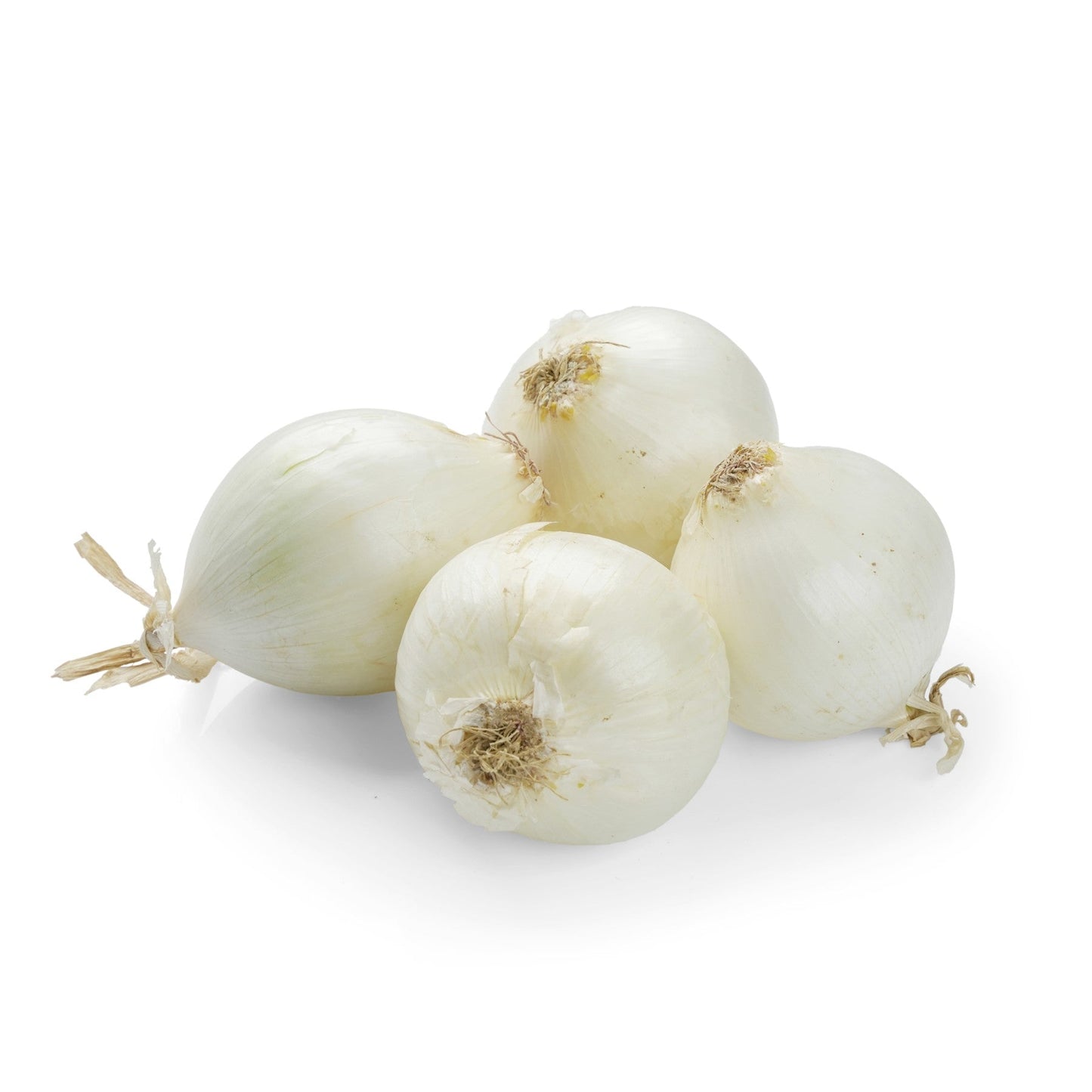 CIPOLLA BIANCA BIO