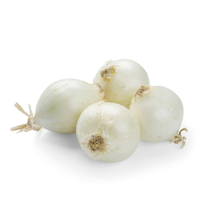 CIPOLLA BIANCA BIO