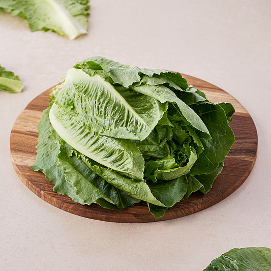 INSALATA LATTUGA BIO