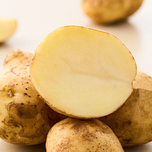 CASSA PATATE GIALLE BIO IGP ONANO da 5 KG