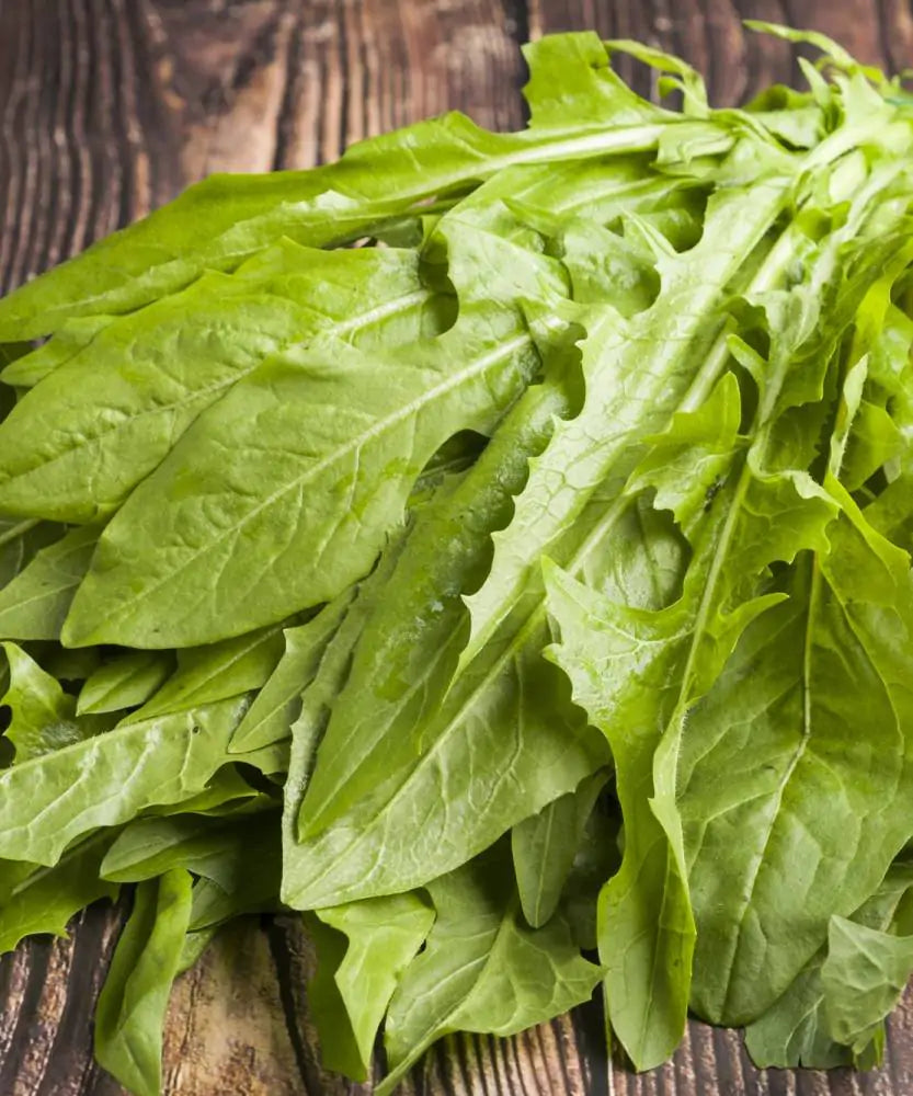 CICORIETTA CAPATA BIO