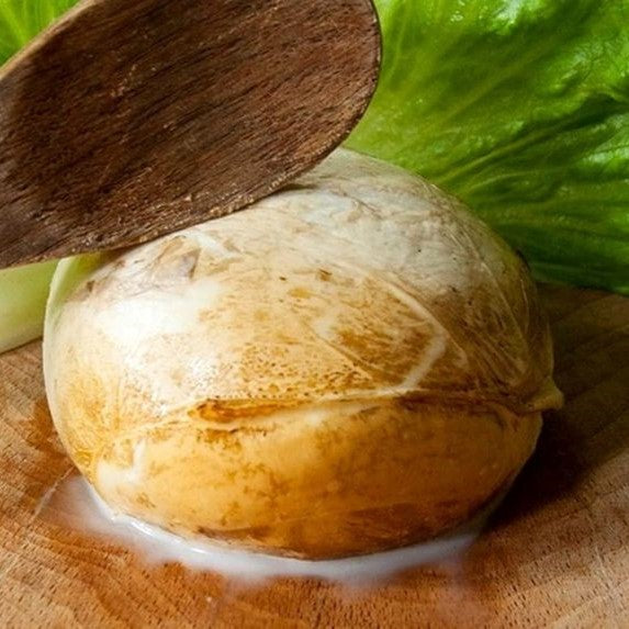 PROVOLA AFFUMICATA
