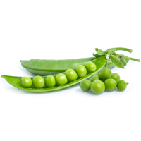 FAVE BIO CASSA 3 KG