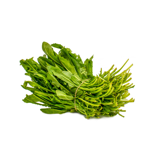 CICORIA DI CAMPO CAPATA BIO