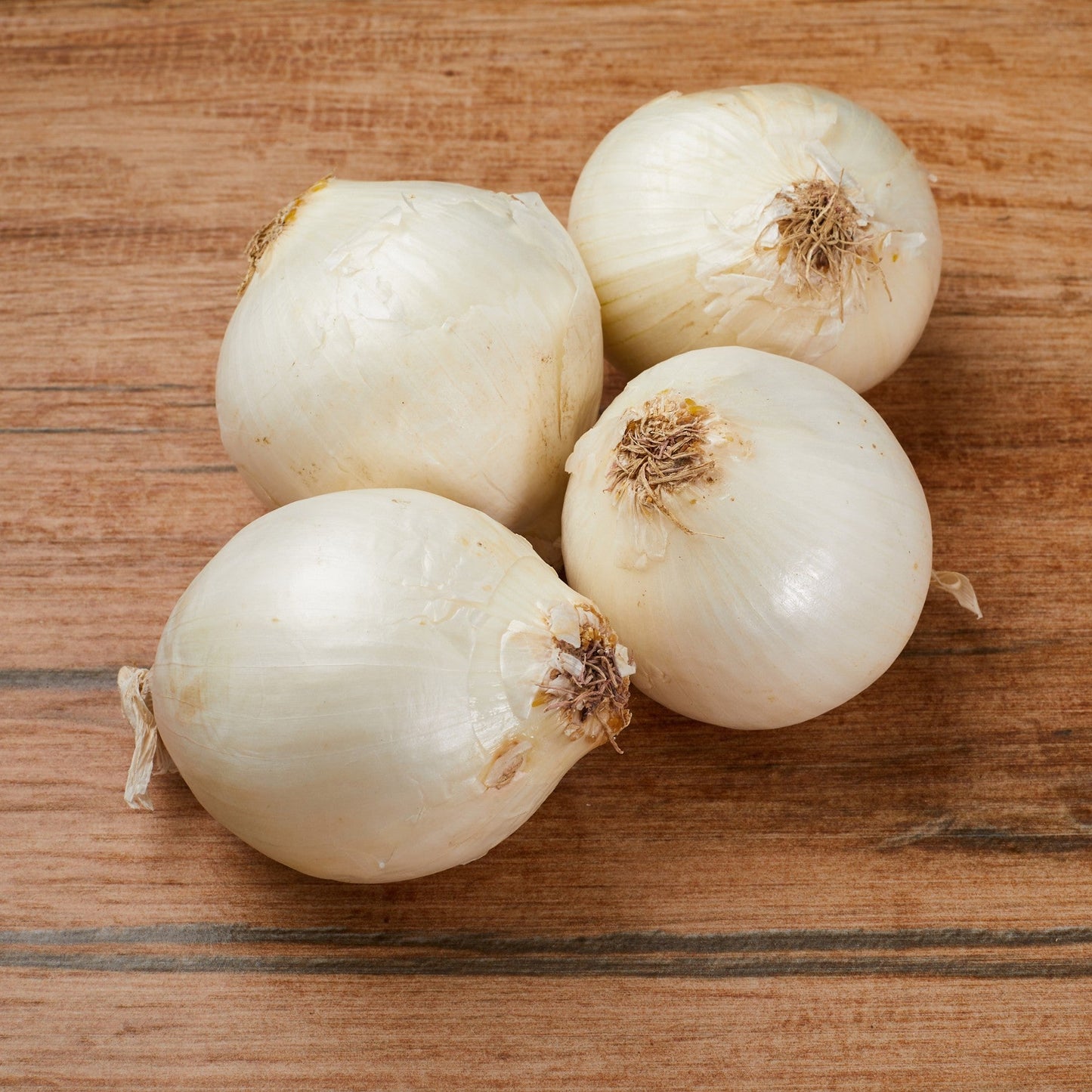 CIPOLLA BIANCA BIO