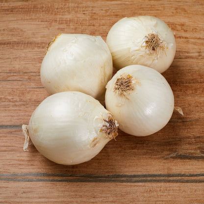 CIPOLLA BIANCA BIO