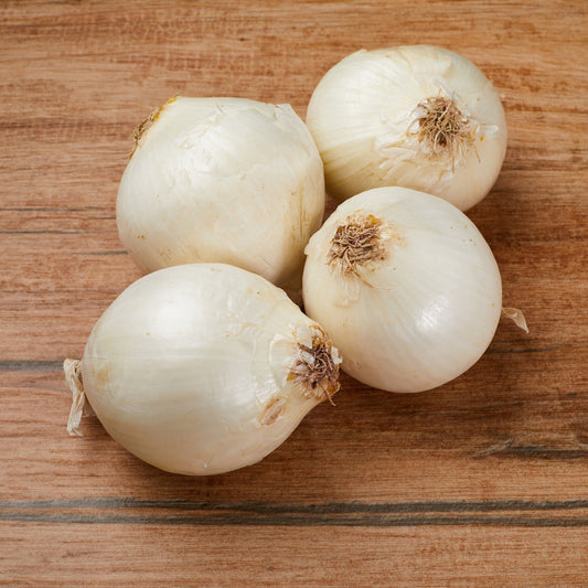 CIPOLLA BIANCA BIO