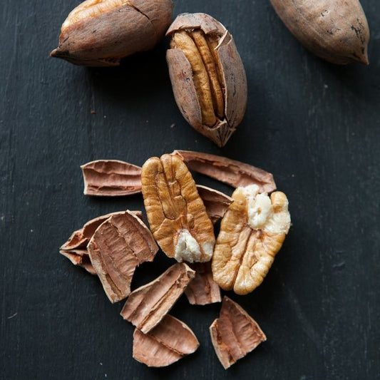 NOCI PECAN MAGLIANO ROMANO