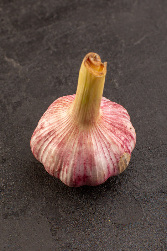AGLIO LEONESSA BIO